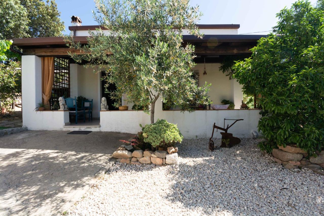 Villa Ferulas Oliena Extérieur photo