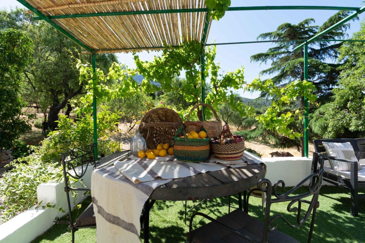 Villa Ferulas Oliena Extérieur photo