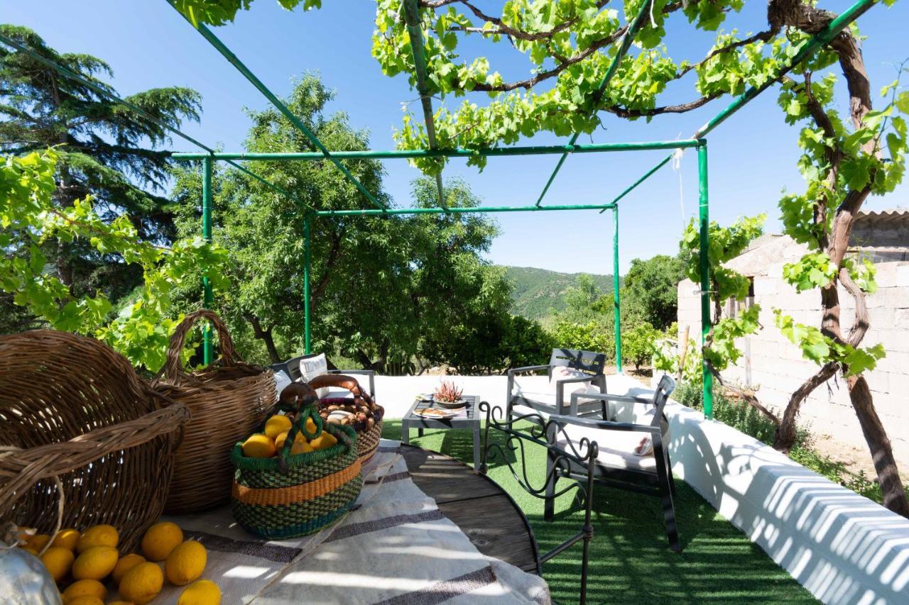 Villa Ferulas Oliena Extérieur photo