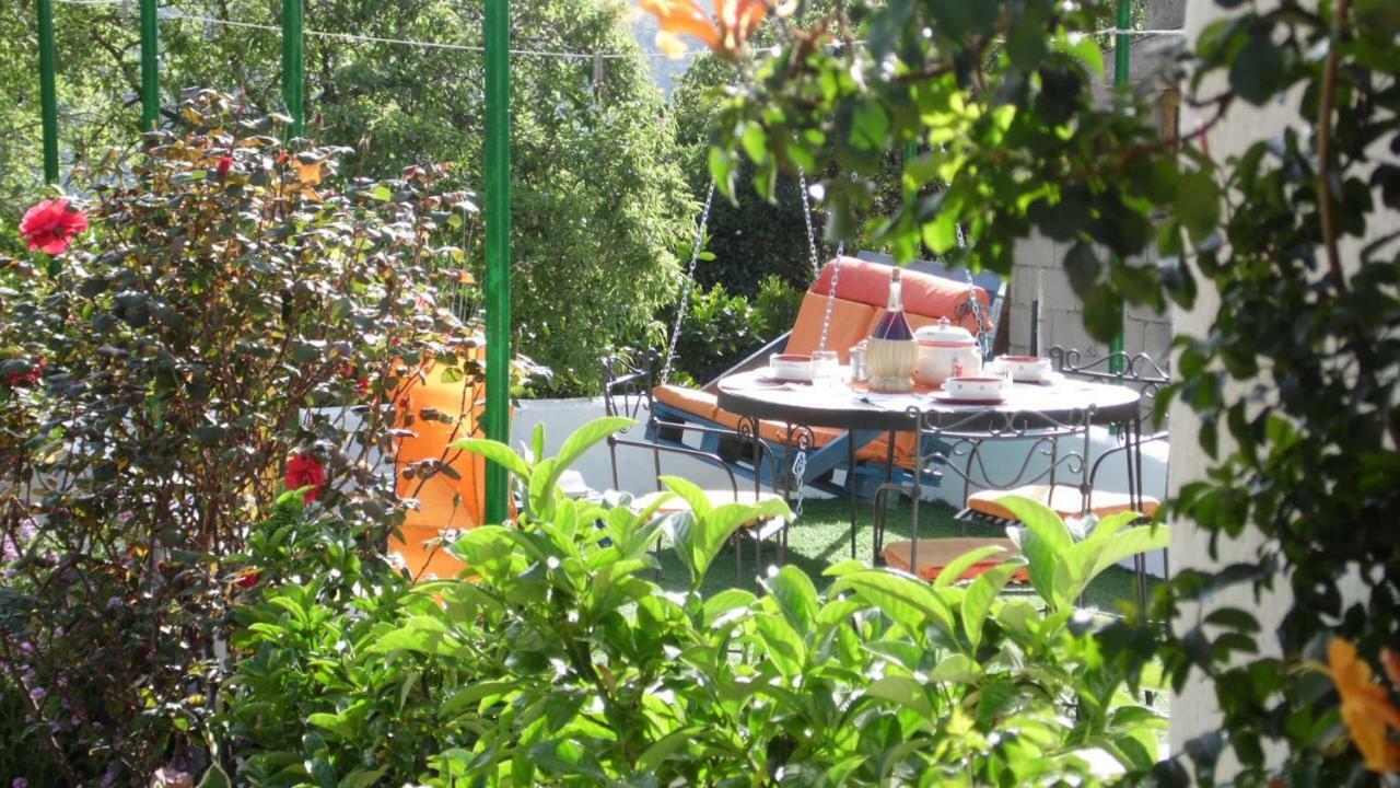 Villa Ferulas Oliena Extérieur photo