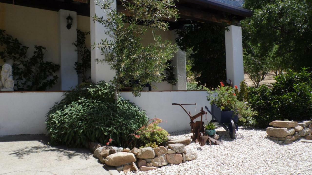 Villa Ferulas Oliena Extérieur photo