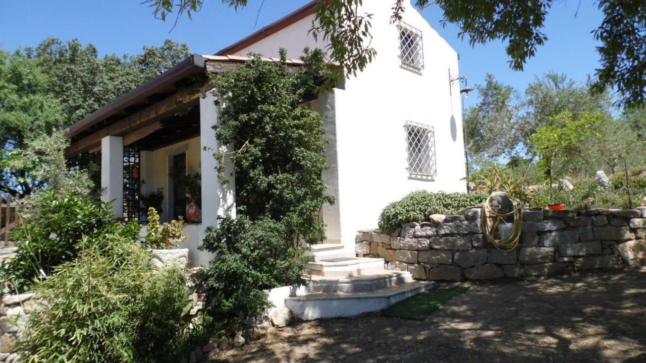 Villa Ferulas Oliena Extérieur photo