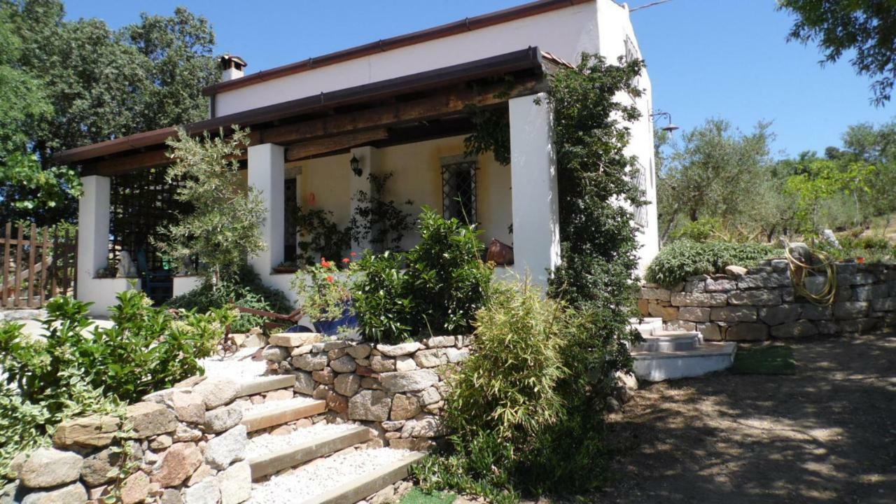 Villa Ferulas Oliena Extérieur photo